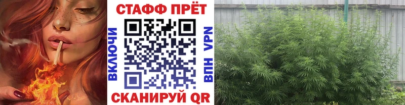 Где купить наркоту Полярный Cocaine  Канабис  МЕФ  A-PVP  Гашиш 