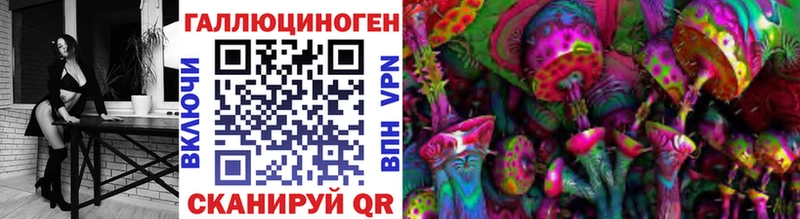 kraken вход  Полярный  Псилоцибиновые грибы Psilocybe  как найти  
